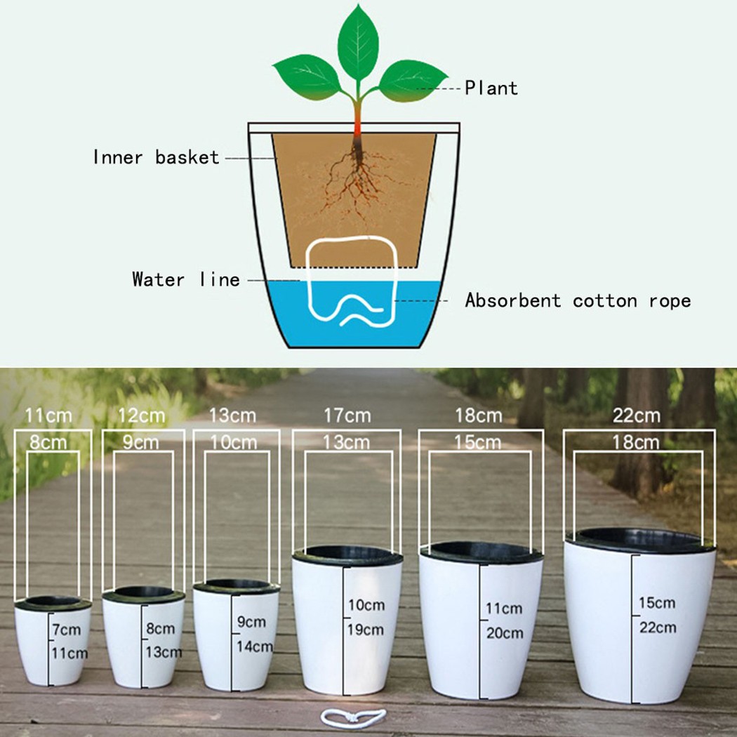 Cây Tự Động Tưới Hoa Cây Nồi G - đánh giá và giá Self Watering Insert